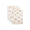 Set van 3 hydrofiele washandjes - Jollies